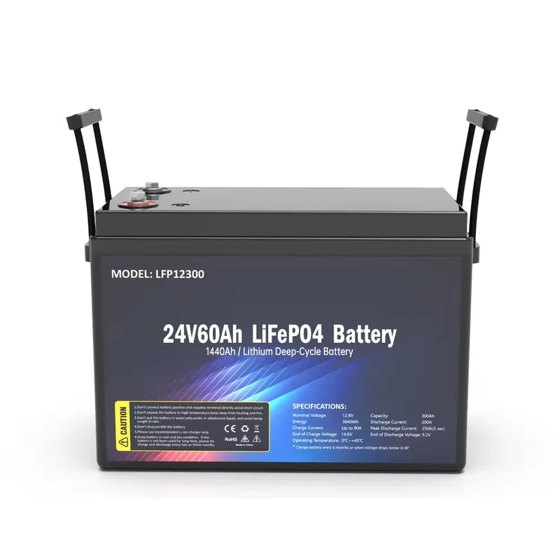 SS-24V60AH LiFePO4-Akku 1440WH