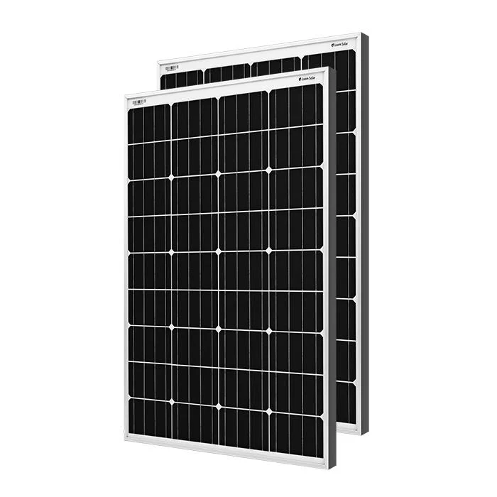 Loom Solar Panel 125 watt - 12 volt Mono Crystalline (Pack of 2)